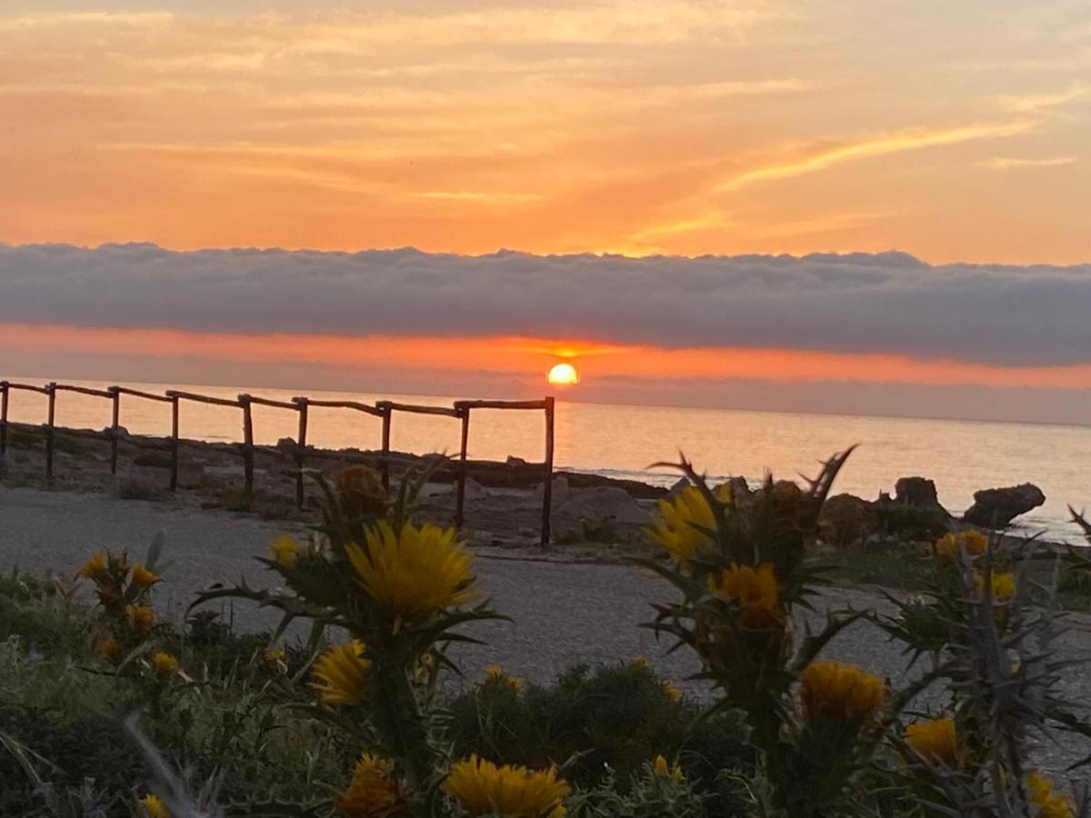 Hotel Cala Di Ponente Castelluzzo Zewnętrze zdjęcie